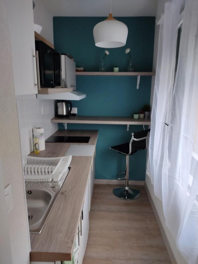 Studio Cosy Proche Du Centre + Parking Gratuit Cluses Eksteriør billede
